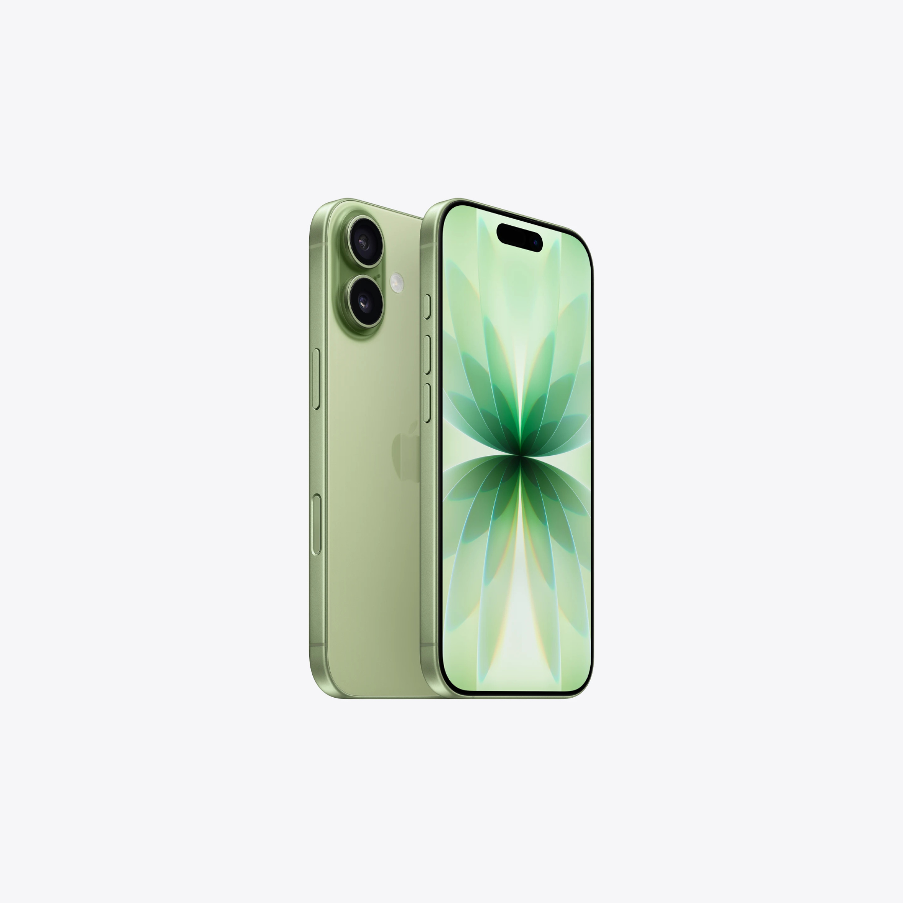 iPhone 17 Sauge face